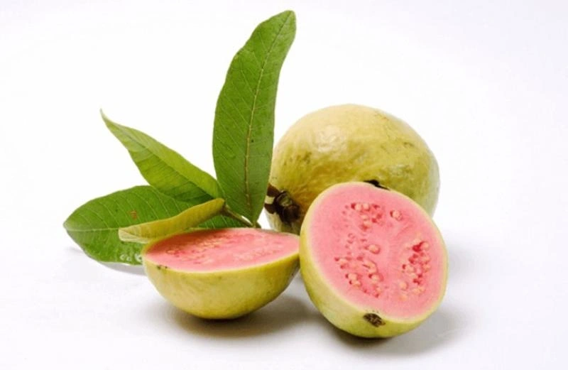 Bầu 2 tháng ăn ổi được không