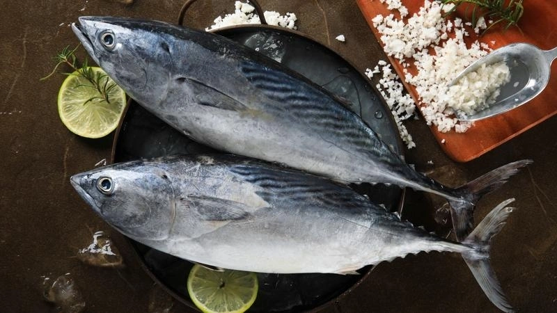 Bầu 3 tháng đầu kiêng ăn cá ngừ