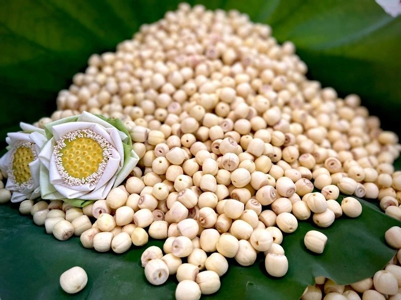 Bà bầu nên ăn hạt sen trong 3 tháng đầu