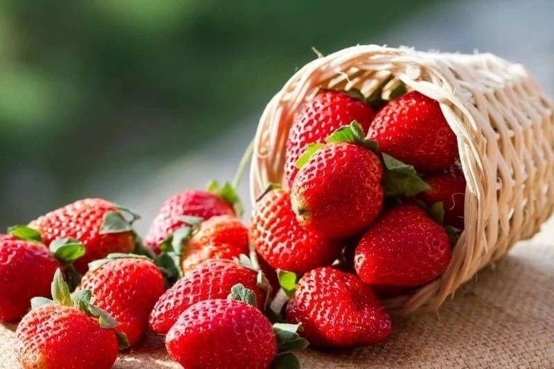 Trẻ 6 tháng ăn được quả gì? Thực đơn ăn dặm của trẻ nên có dâu tây
