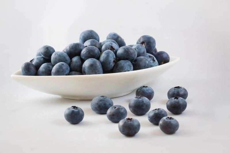 Bé 6 tháng ăn được trái việt quất