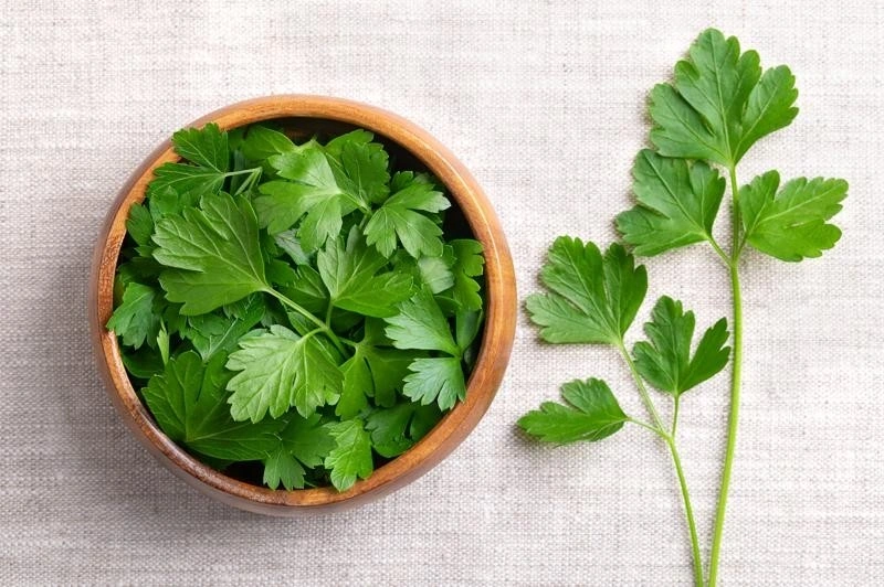 Rau mùi tây và mùi ta làm mất sữa 