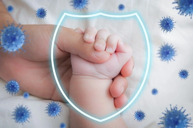HMO có tác dụng gì
