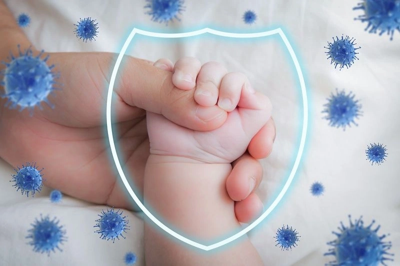 Lactoferrin giúp bảo vệ hệ miễn dịch của bé