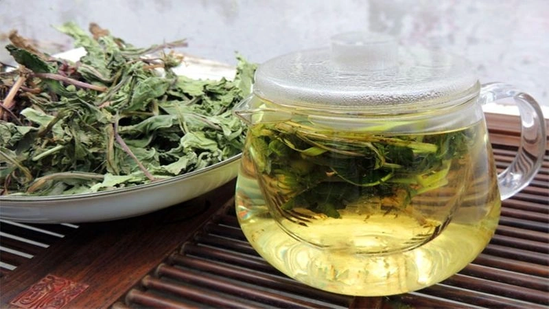 Mẹo gọi sữa về sau sinh mổ với nước bồ công anh
