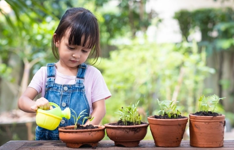 Các lĩnh vực của giáo dục montessori là gì
