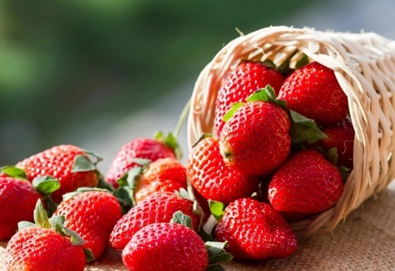Dâu là một trong những loại trái cây tốt cho mẹ bầu 3 tháng giữa dễ tìm mua.