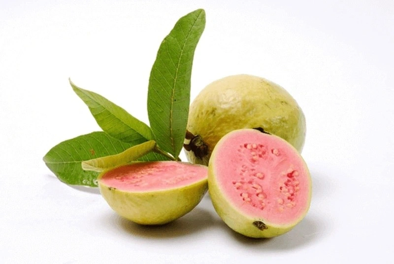 Vai trò hoa quả tốt cho bà bầu 3 tháng giữa - ổi là góp phần tăng đề kháng.