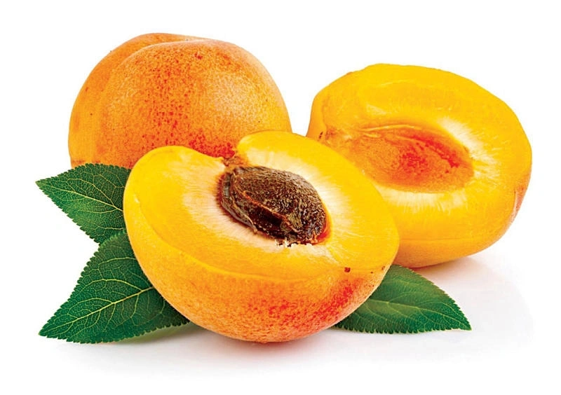 bầu 3 tháng đầu nên ăn quả gì thì đó chính là quả mơ.