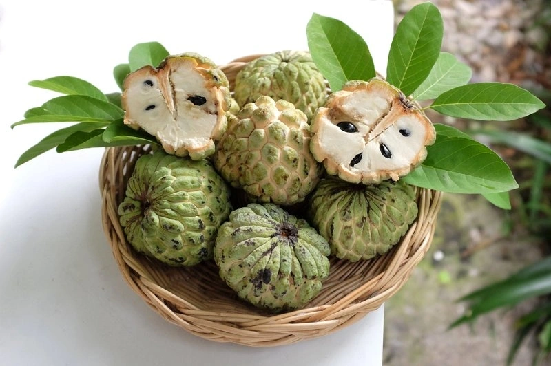 Đẻ mổ ăn được quả na