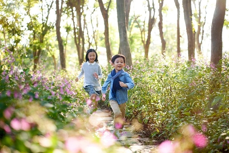 Hỗ trợ trẻ chậm phát triển
